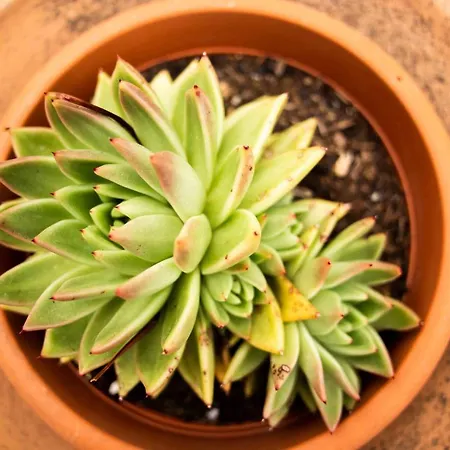 Apartamento Casa Nina Con Terrazza *