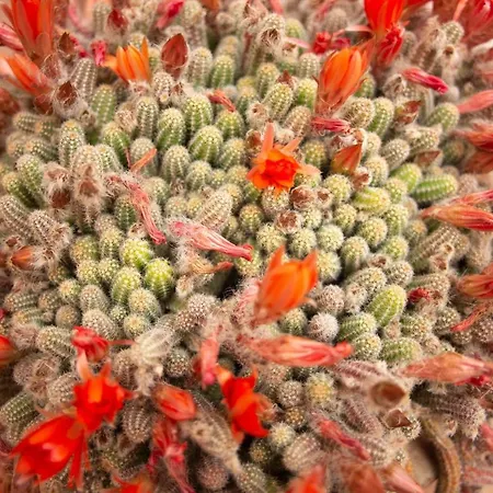 דירה Casa Nina Con Terrazza *